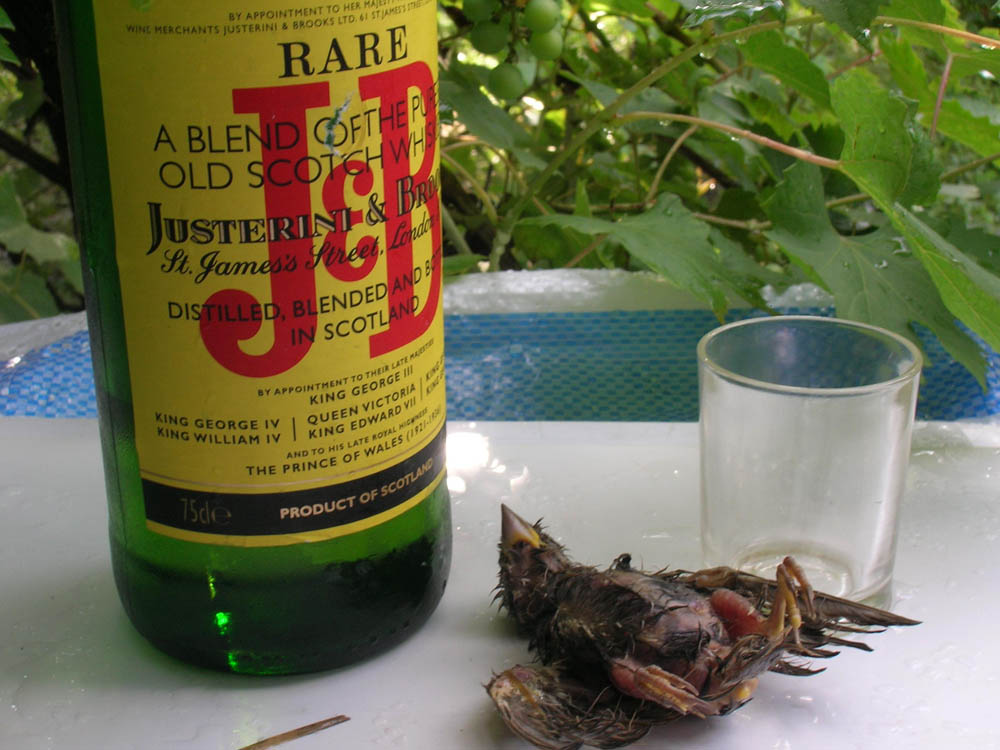 BRIGADA DIVERSE  - DSCN2638.JPG